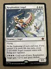 Angel of Jubilation #