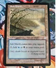 Salt Marsh