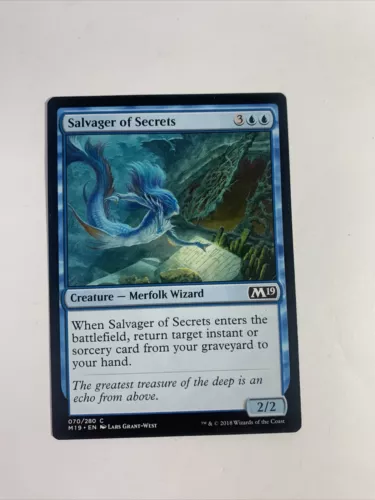 Salvager of Secrets