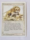 Savannah Lions