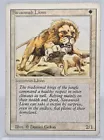 Savannah Lions