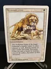 Savannah Lions