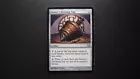 Sensei's Divining Top