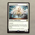 Serra Angel