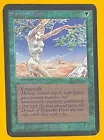 Shanodin Dryads