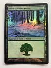 Snow-Covered Forest