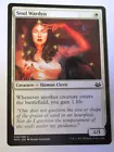 Soul Warden