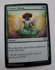 Summer Bloom #