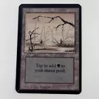 Swamp