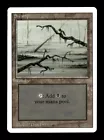 Swamp