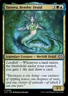 Paradise Druid