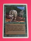 Timber Wolves