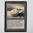 Triassic Egg