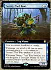 Twenty-Toed Toad #