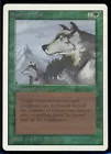 Aspect of Wolf