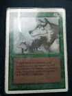 Aspect of Wolf
