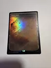Aurora Champion