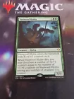 Vastwood Hydra