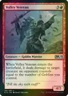 Volley Veteran