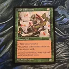 Wall of Blossoms