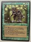 Favor of the Woods