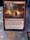 Wildfire
