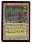 Bayou