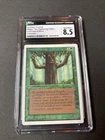 Ironroot Treefolk