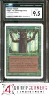 Ironroot Treefolk