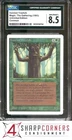 Ironroot Treefolk