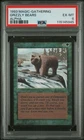 Grizzly Bears