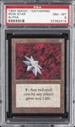Iron Star