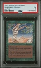 Shanodin Dryads