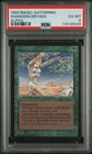 Shanodin Dryads