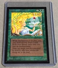 Verduran Enchantress