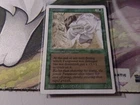 Fungusaur