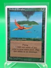 Birds of Paradise
