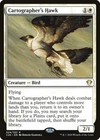 Cartographer's Hawk #