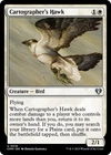 Cartographer's Hawk #