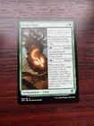Druid Class