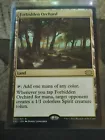Forbidden Orchard