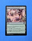 Havenwood Battleground