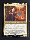 Marchesa, the Black Rose #