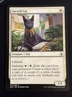 Sacred Cat #