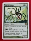 Silklash Spider