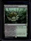 Undergrowth Stadium [Foil] #