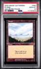 Plains #