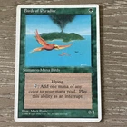 Birds of Paradise