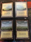 Plains
