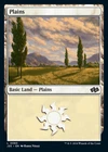 Plains #